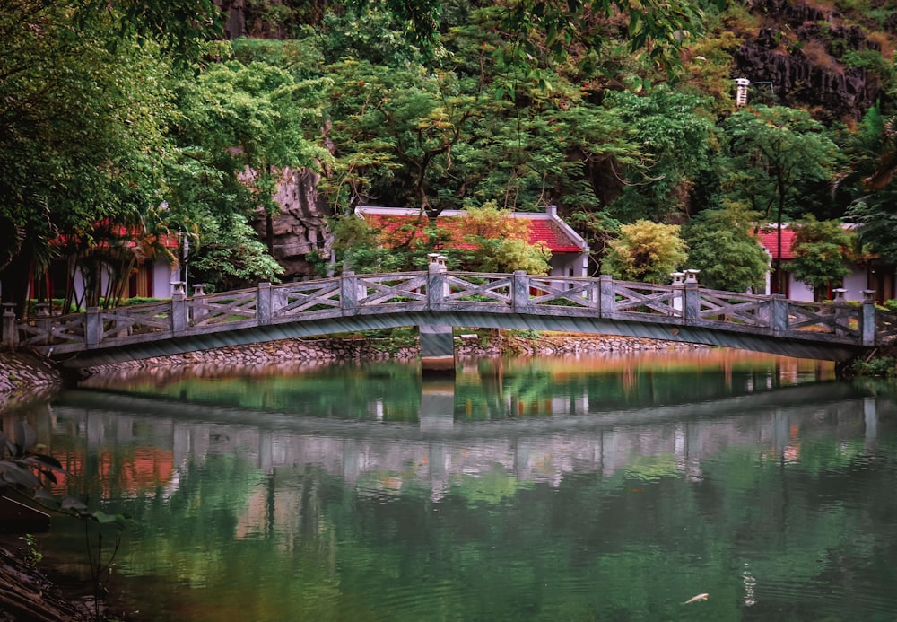 green trees beside river during daytime