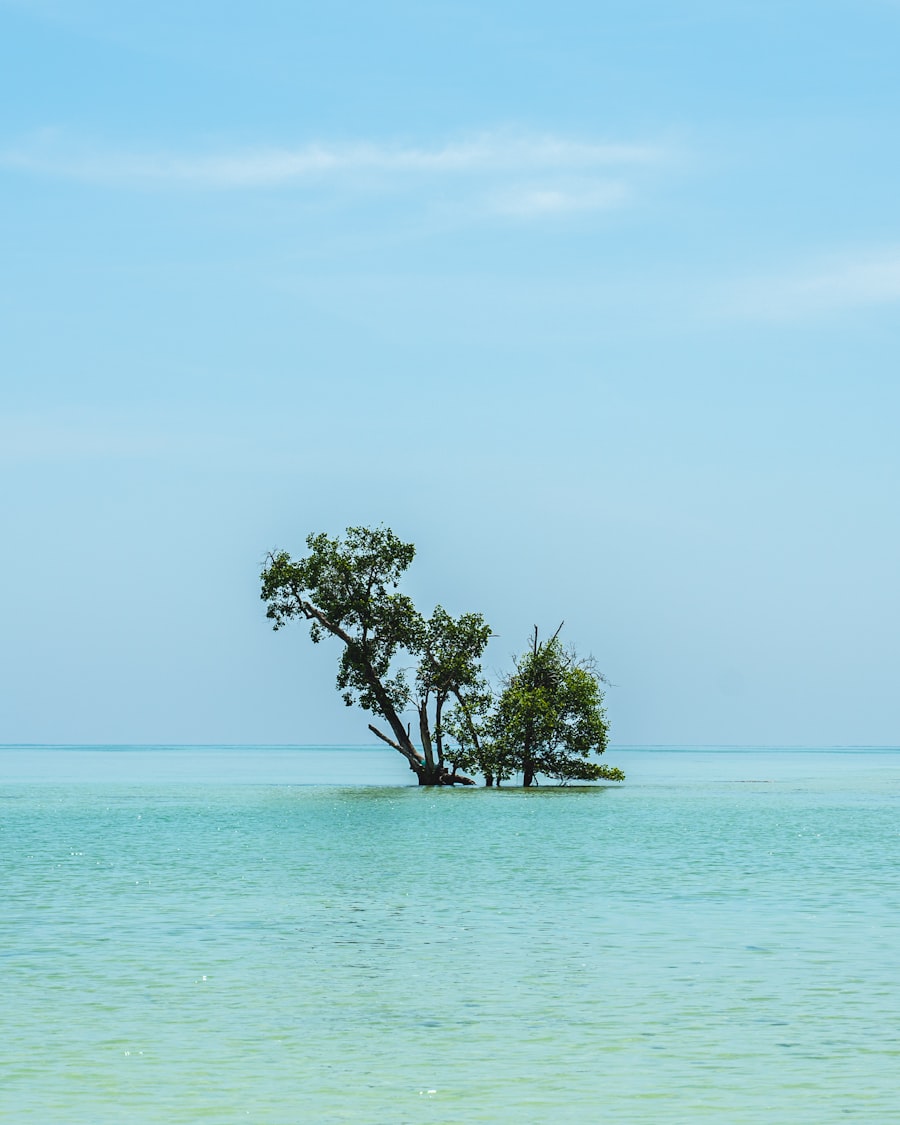 Andaman Island Escape gallery 1