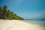 green palm trees on white sand beach during daytime