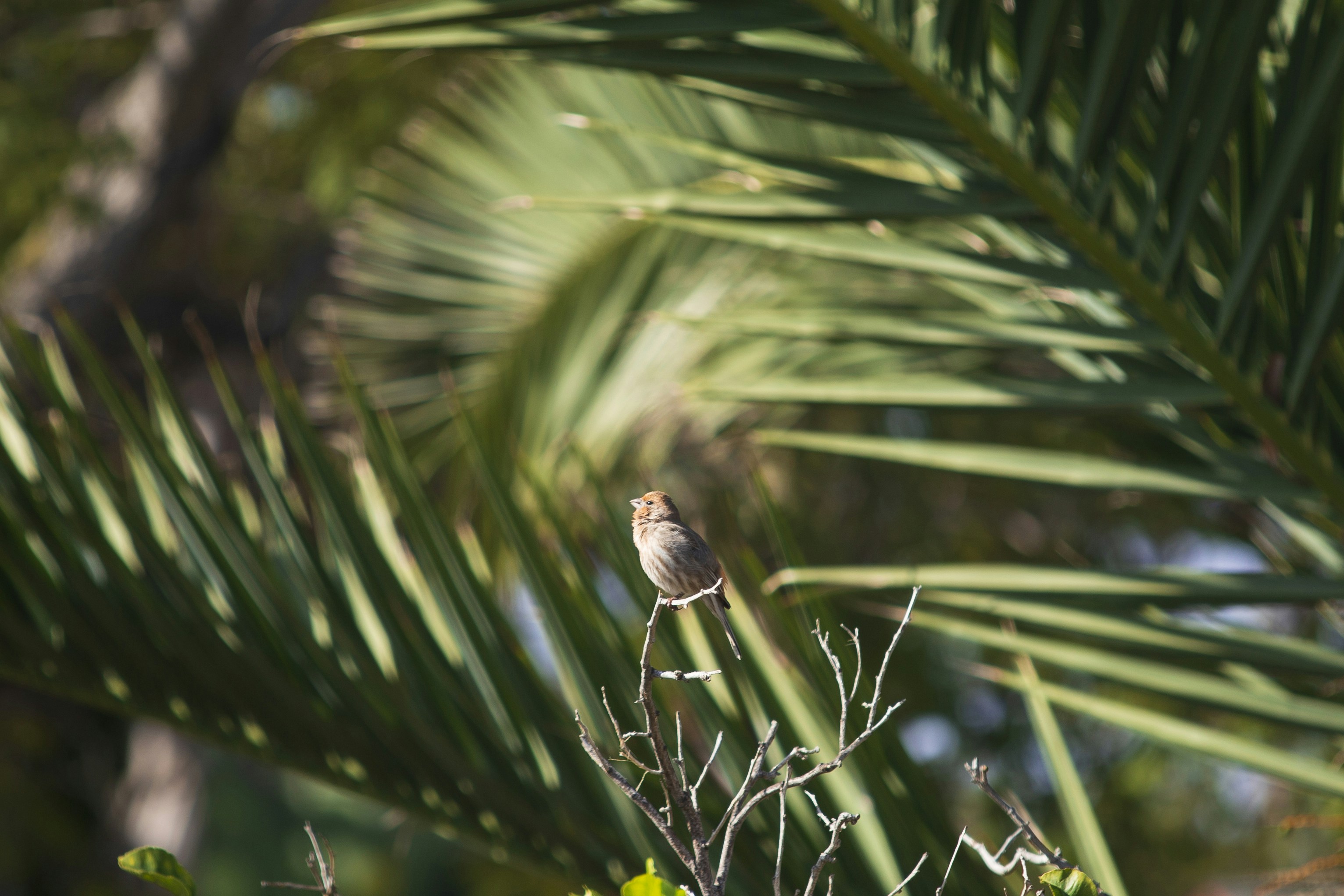 Photo by oneapparatus