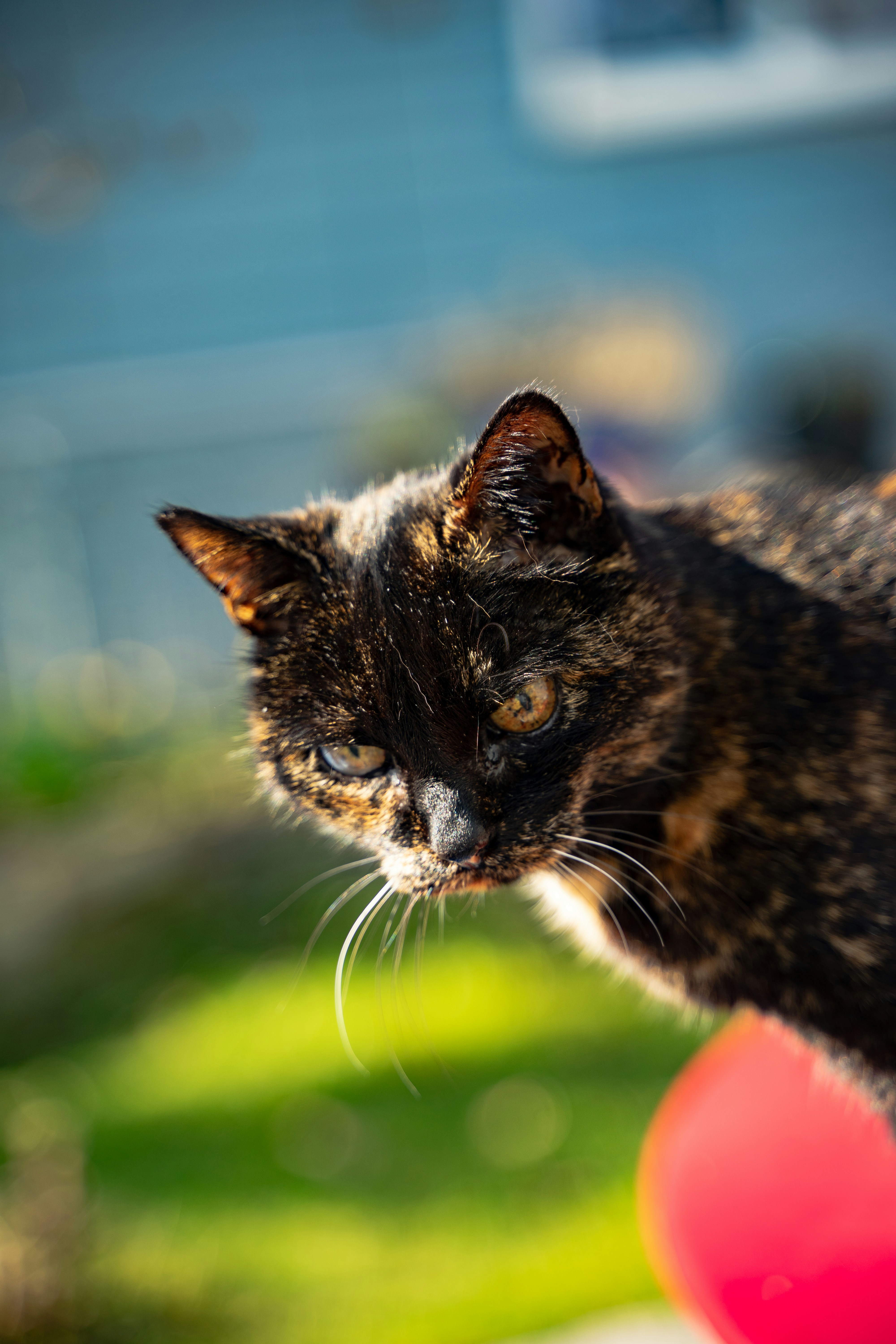 Photo by janik_clicks