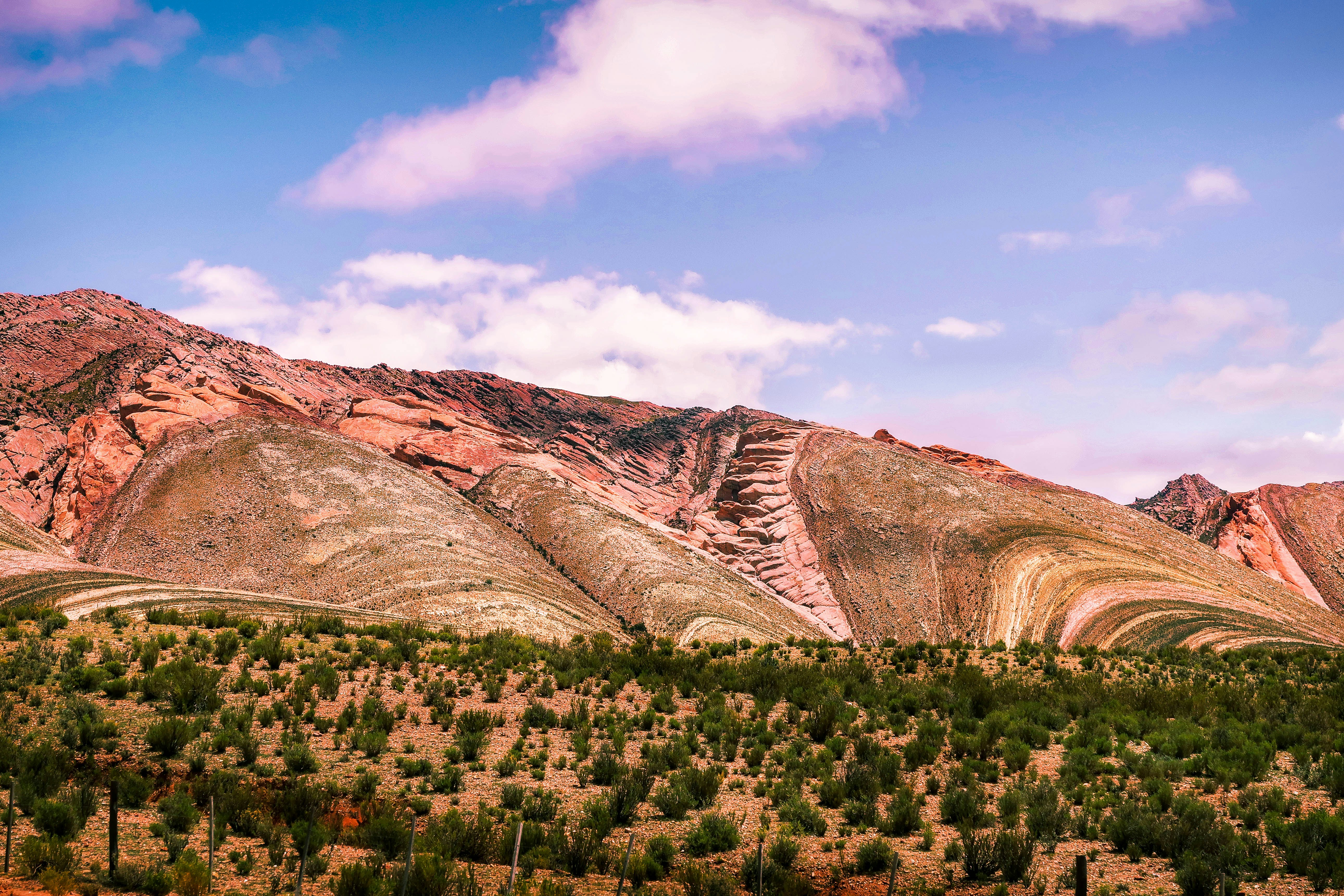 Photo by argentinanatural