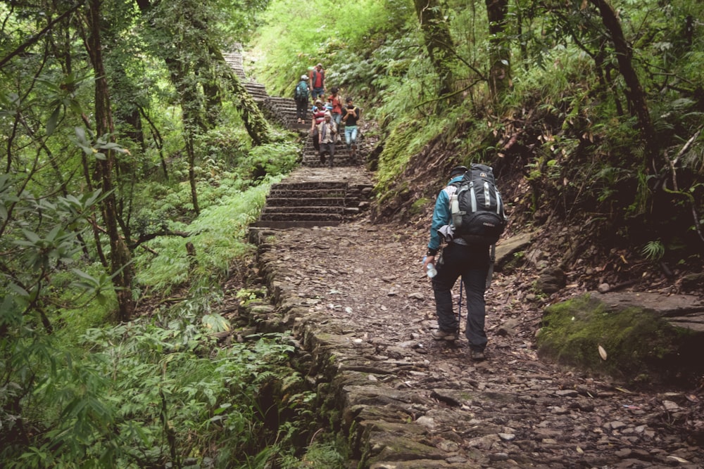 people walking on pathway between green trees during daytime