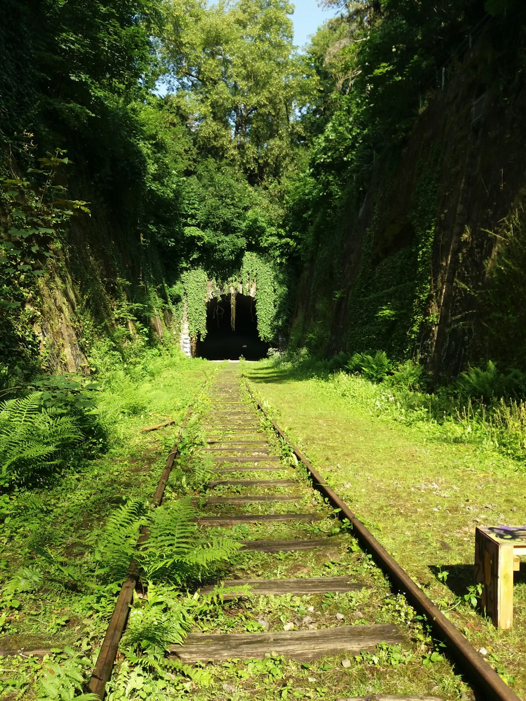 Nature reserve photo spot Paris Guyancourt