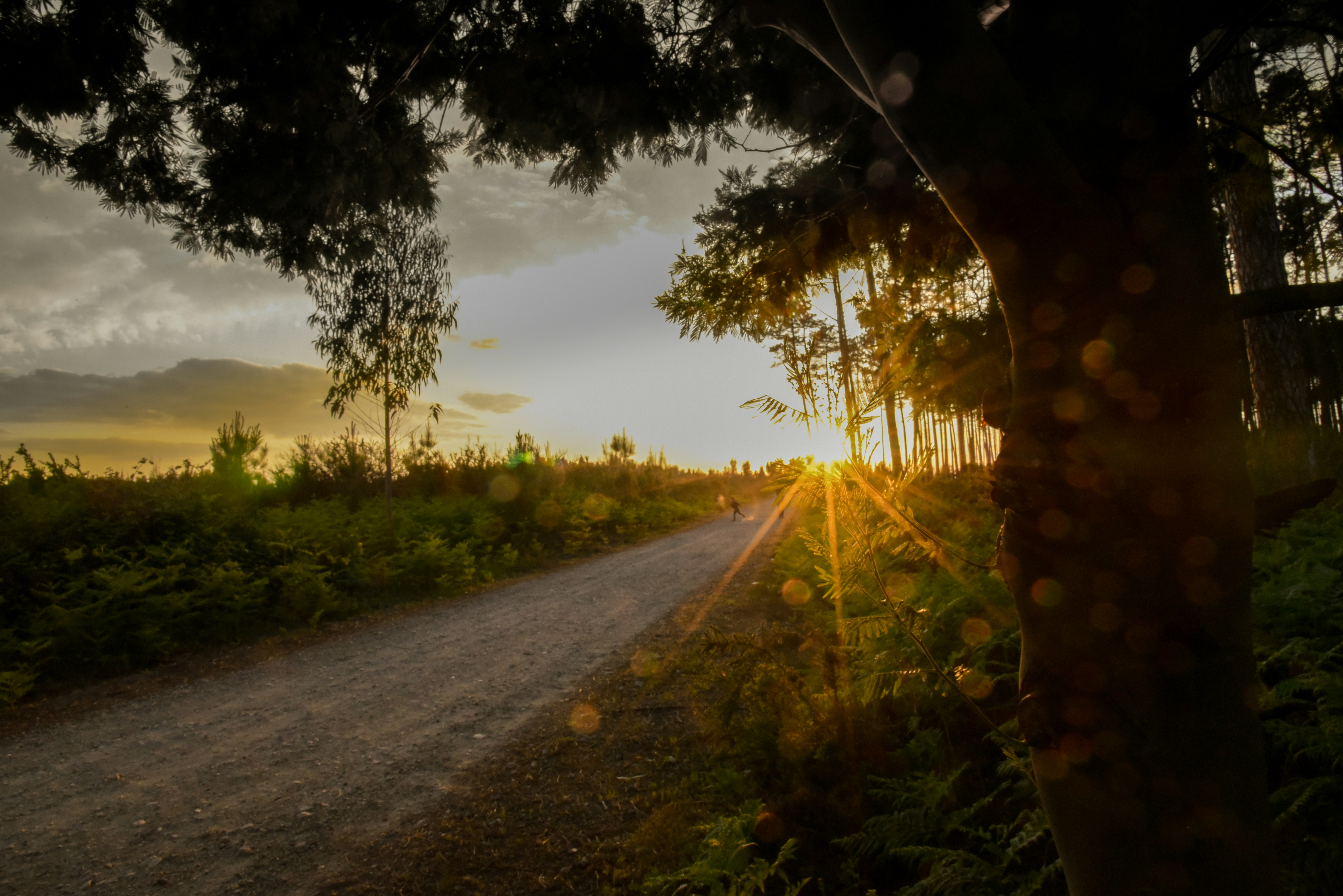 Tcoin.fun header image