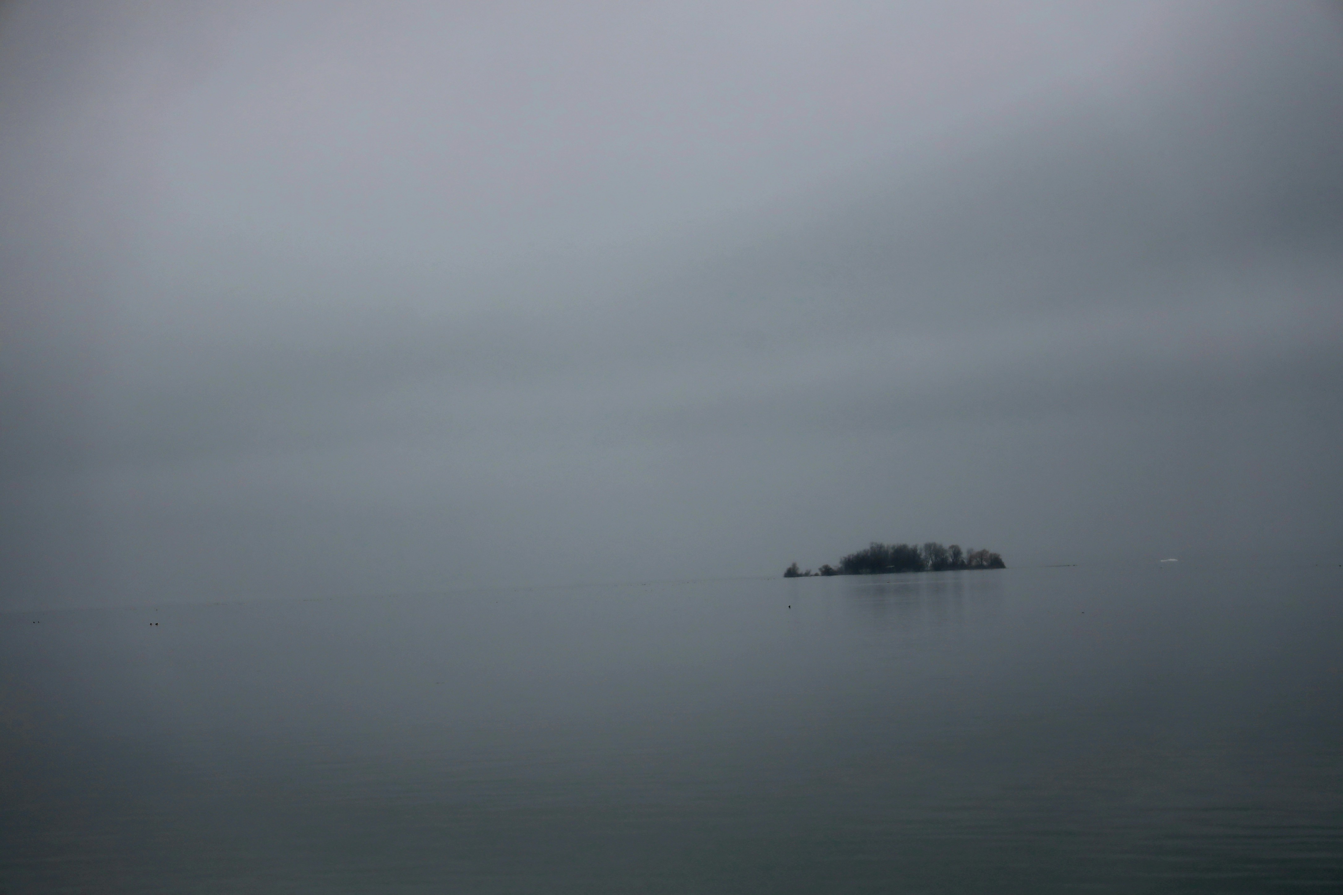 Photo by richardworks