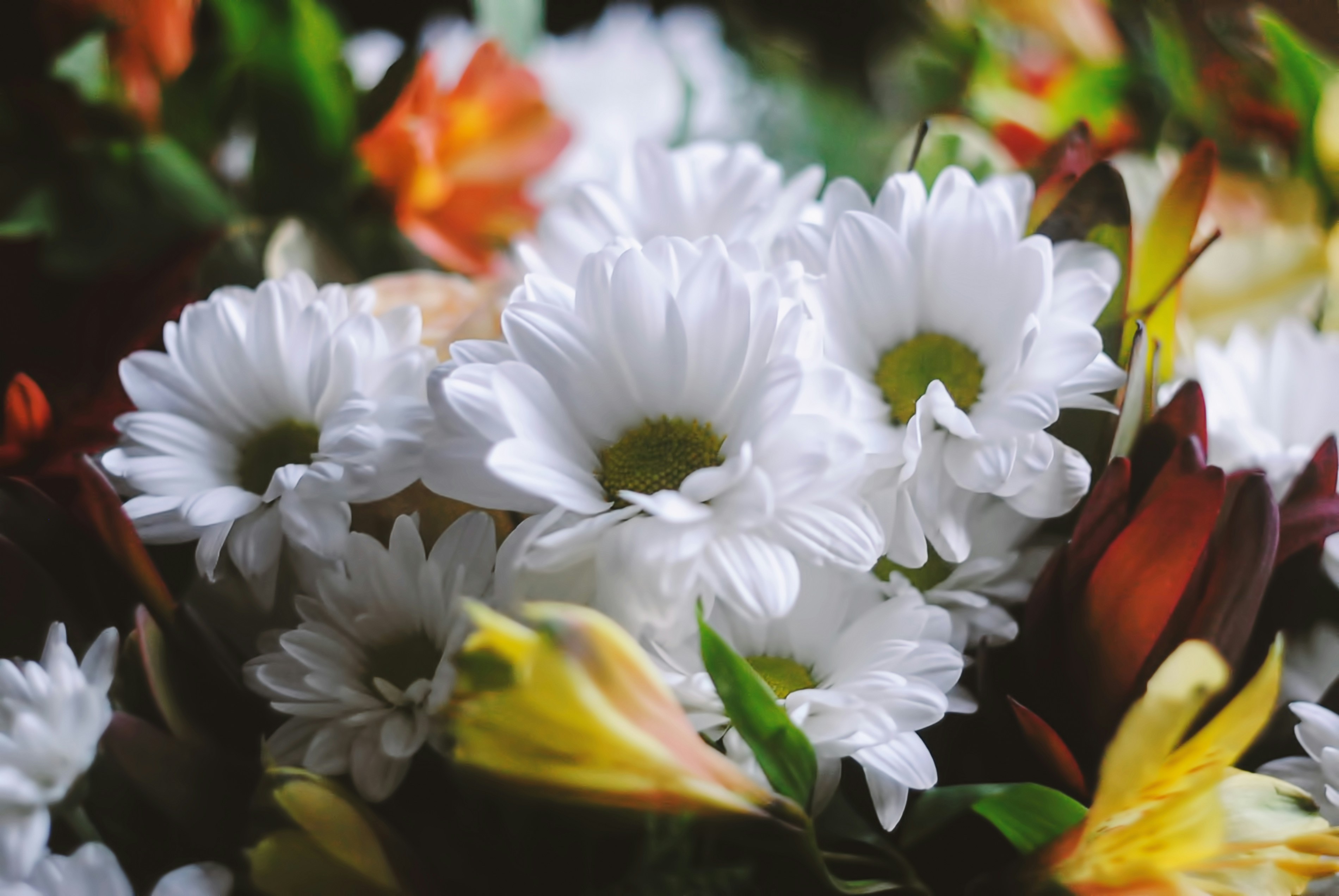 Photo by leonova_sia