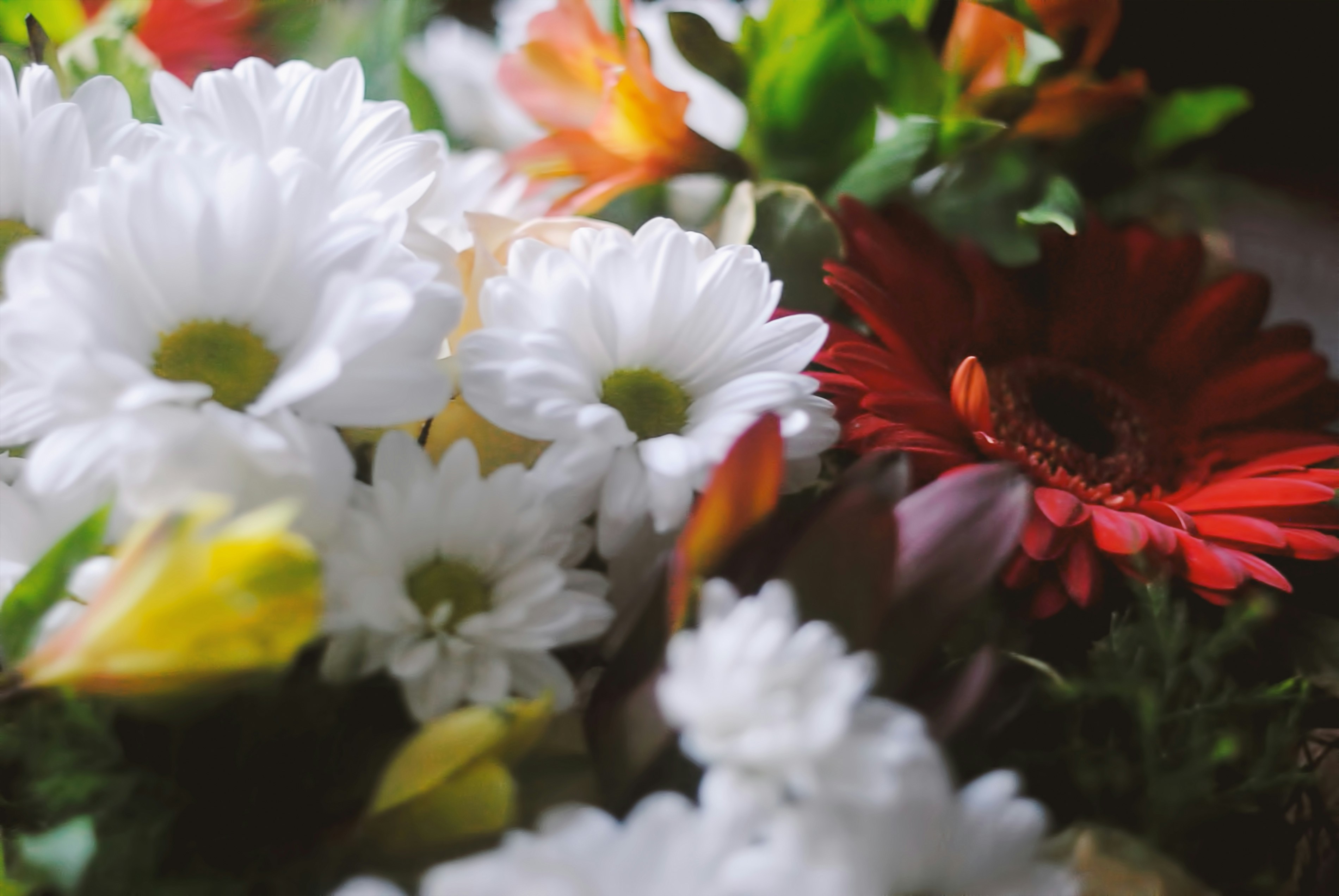 Photo by leonova_sia