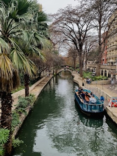 boat on river between trees during daytime