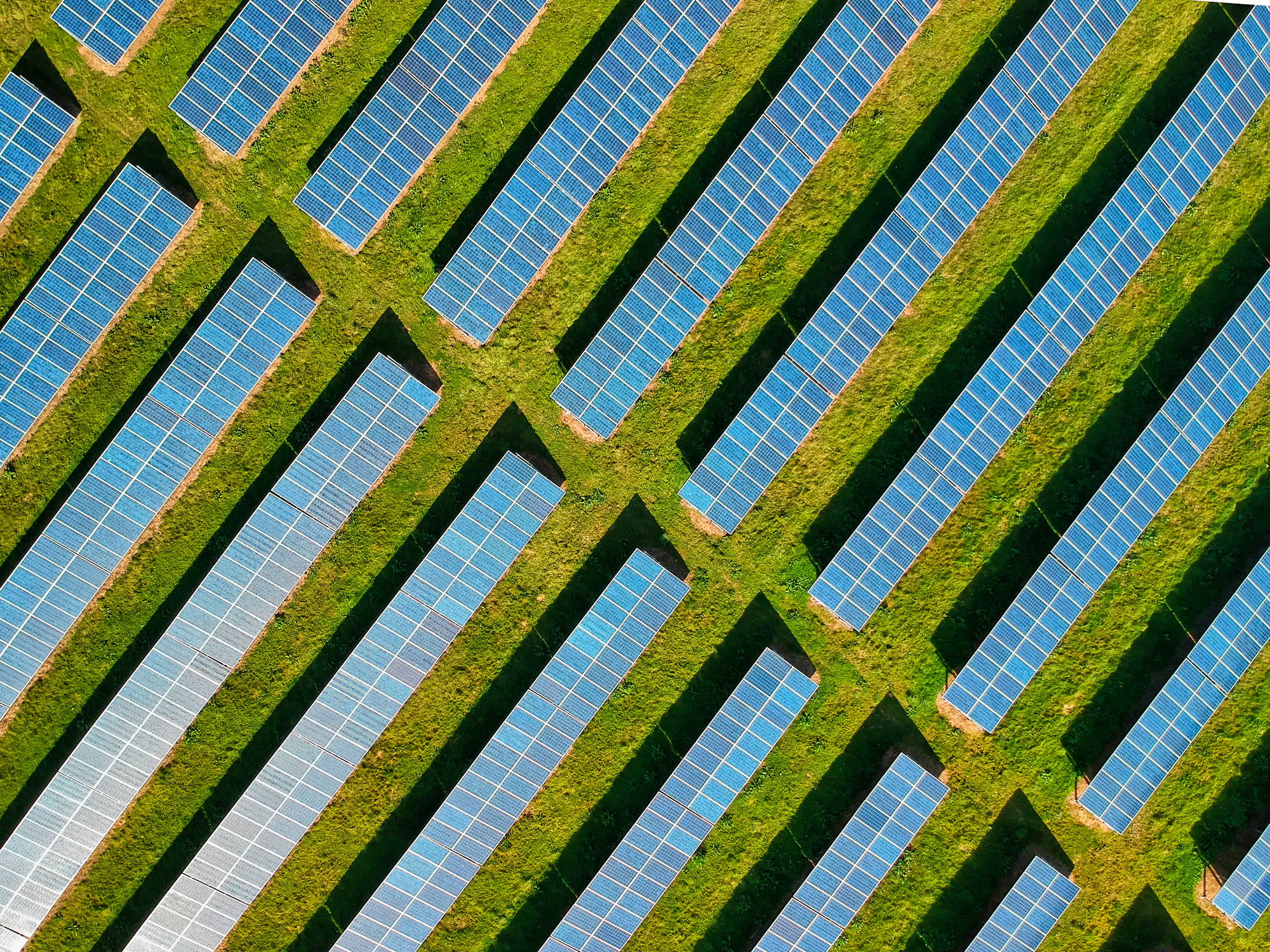 Rows of solar panels on a green field
