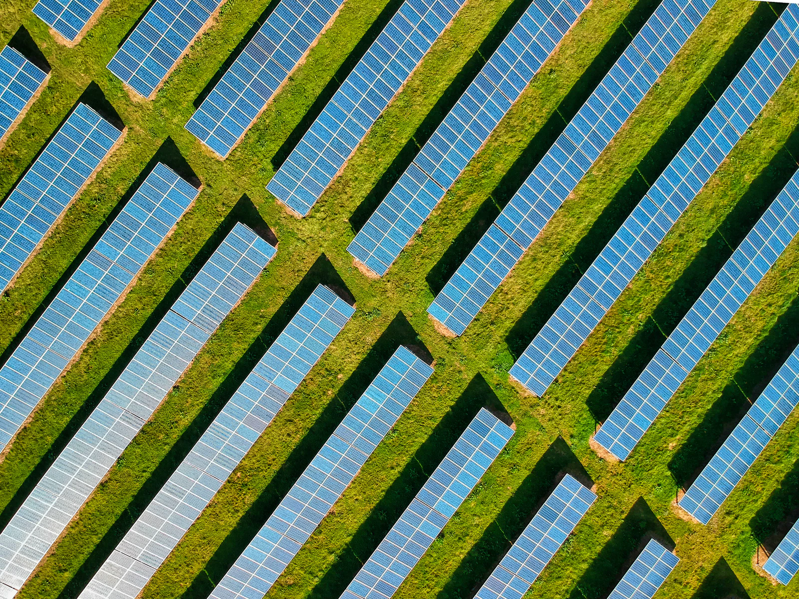 Rows of solar panels across a solar field
