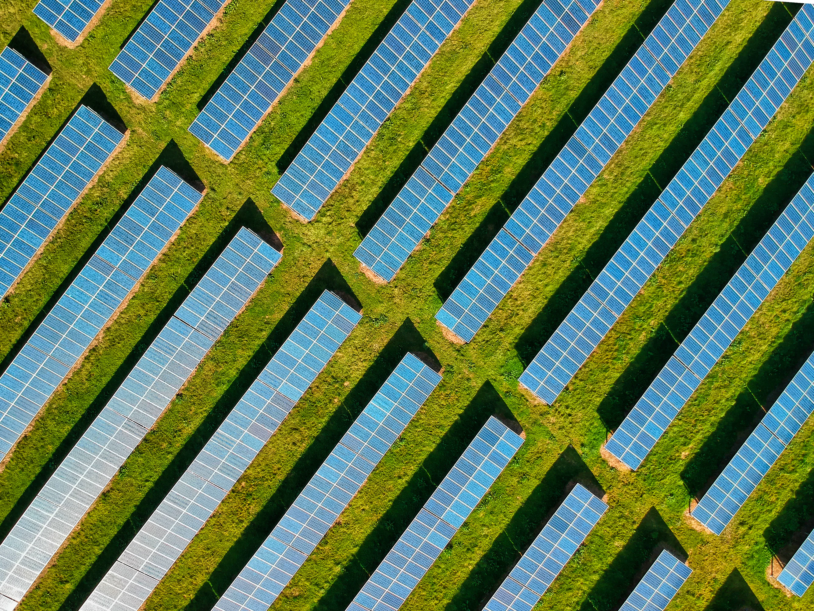 Sustainable tech: balancing growth and green