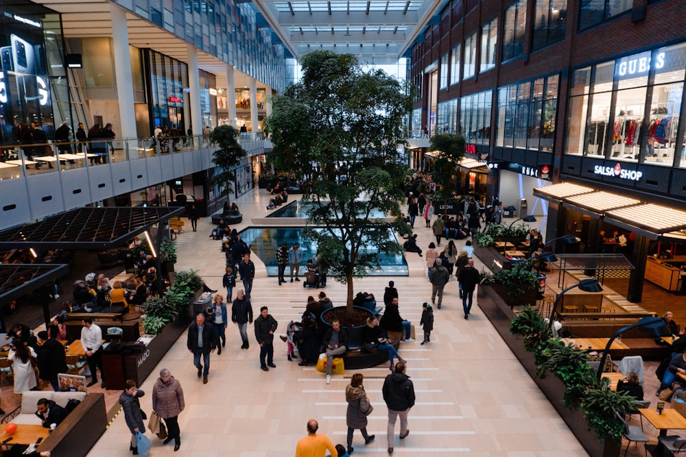 people walking on the street during daytime