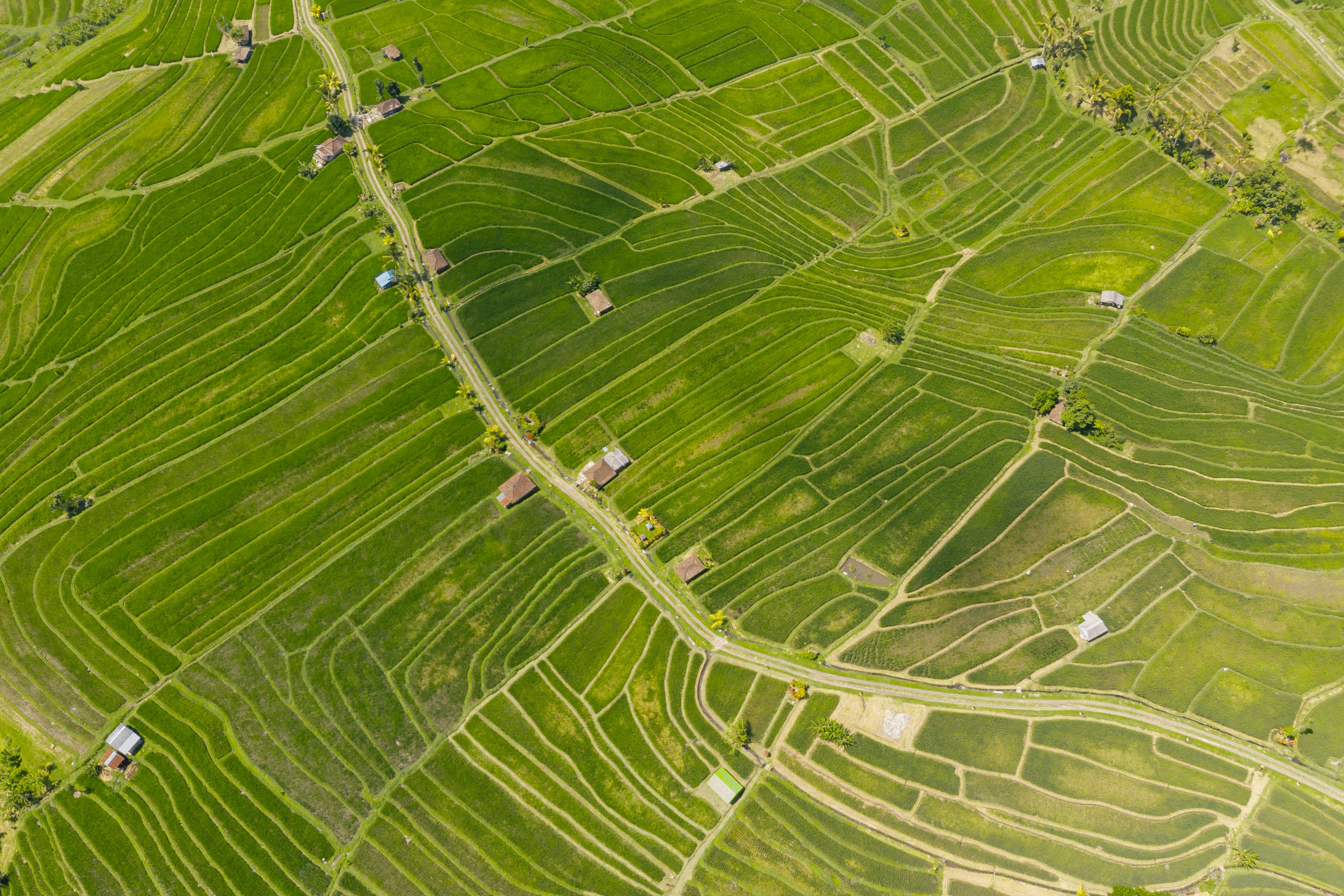 cara jual beli tanah tanpa sertifikat