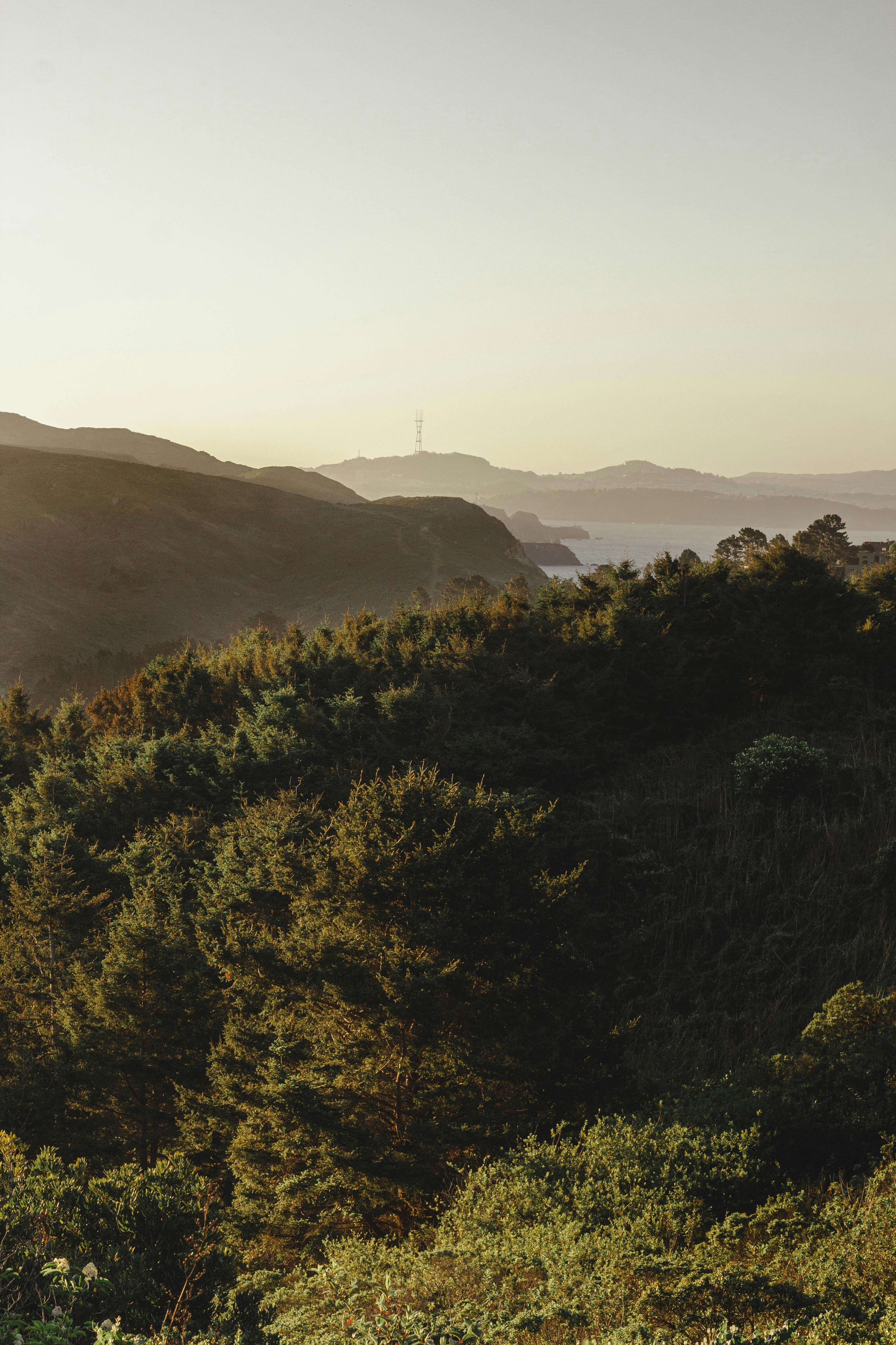 Photo by blakemccleary