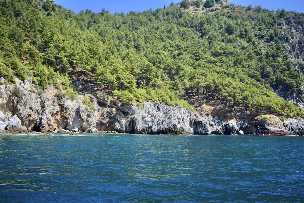 green trees on rocky mountain beside sea during daytime