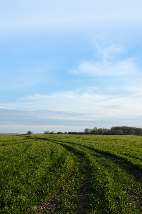 green grass field under white clouds during daytime in Kent United Kingdom