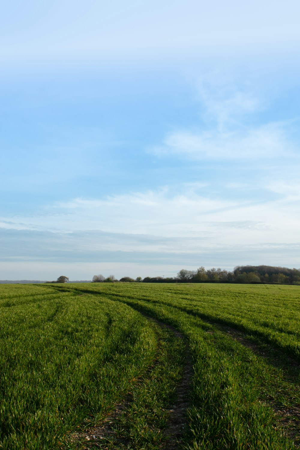 green grass field under white clouds during daytime