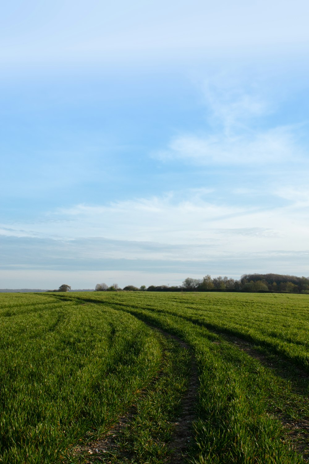 campo de grama verde sob nuvens brancas durante o dia