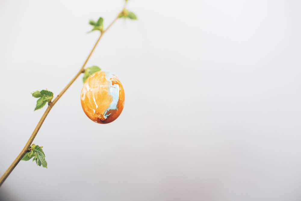 orange fruit with green leaves