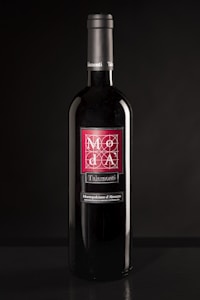 Gevrey-Chambertin 2019