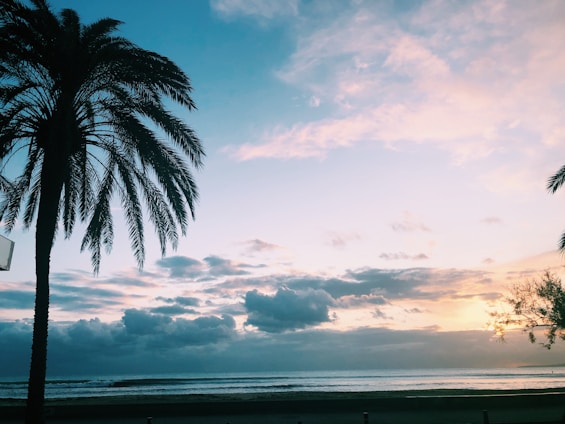 A picturesque beachfront property with palm trees and a stunning sunset in the background.