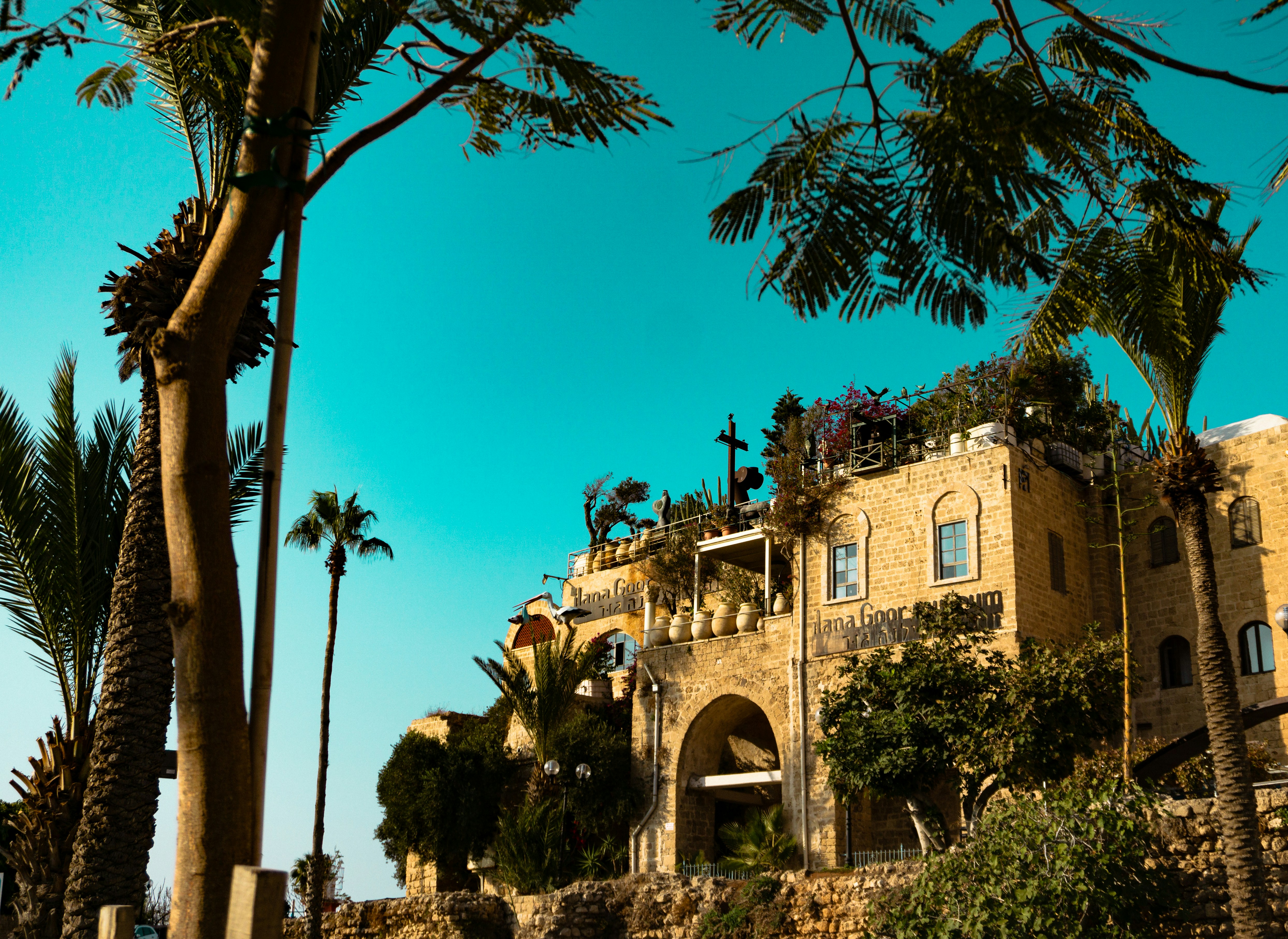 Photo by pasha_waltz