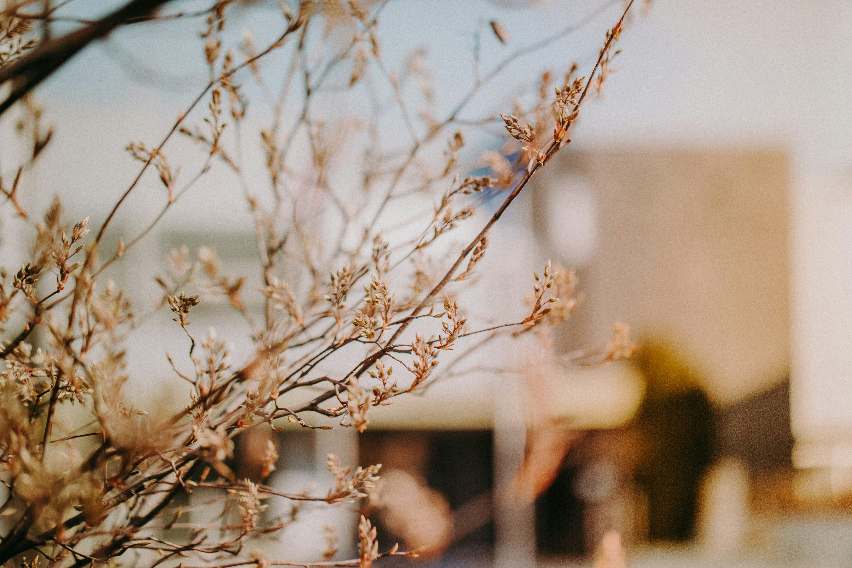 Photo by trnavskauni