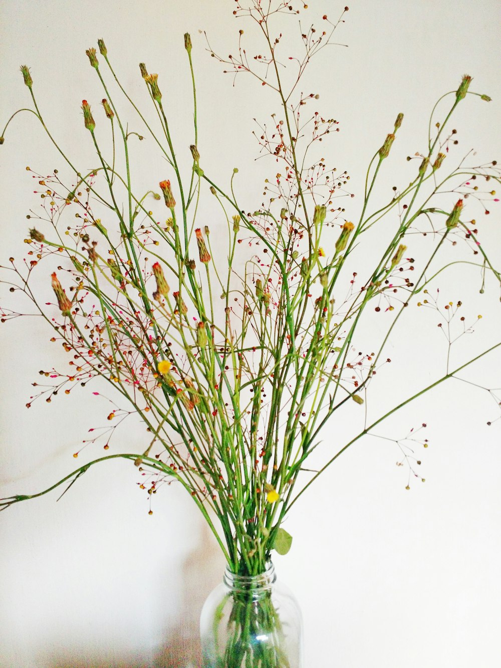 green plant on white table