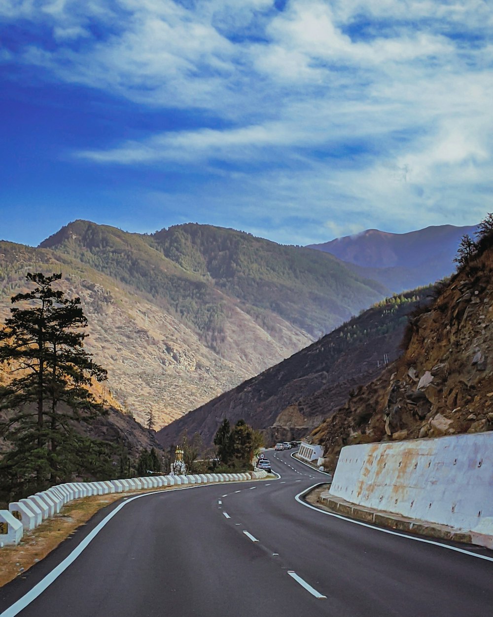 gray asphalt road between trees and mountains during daytime