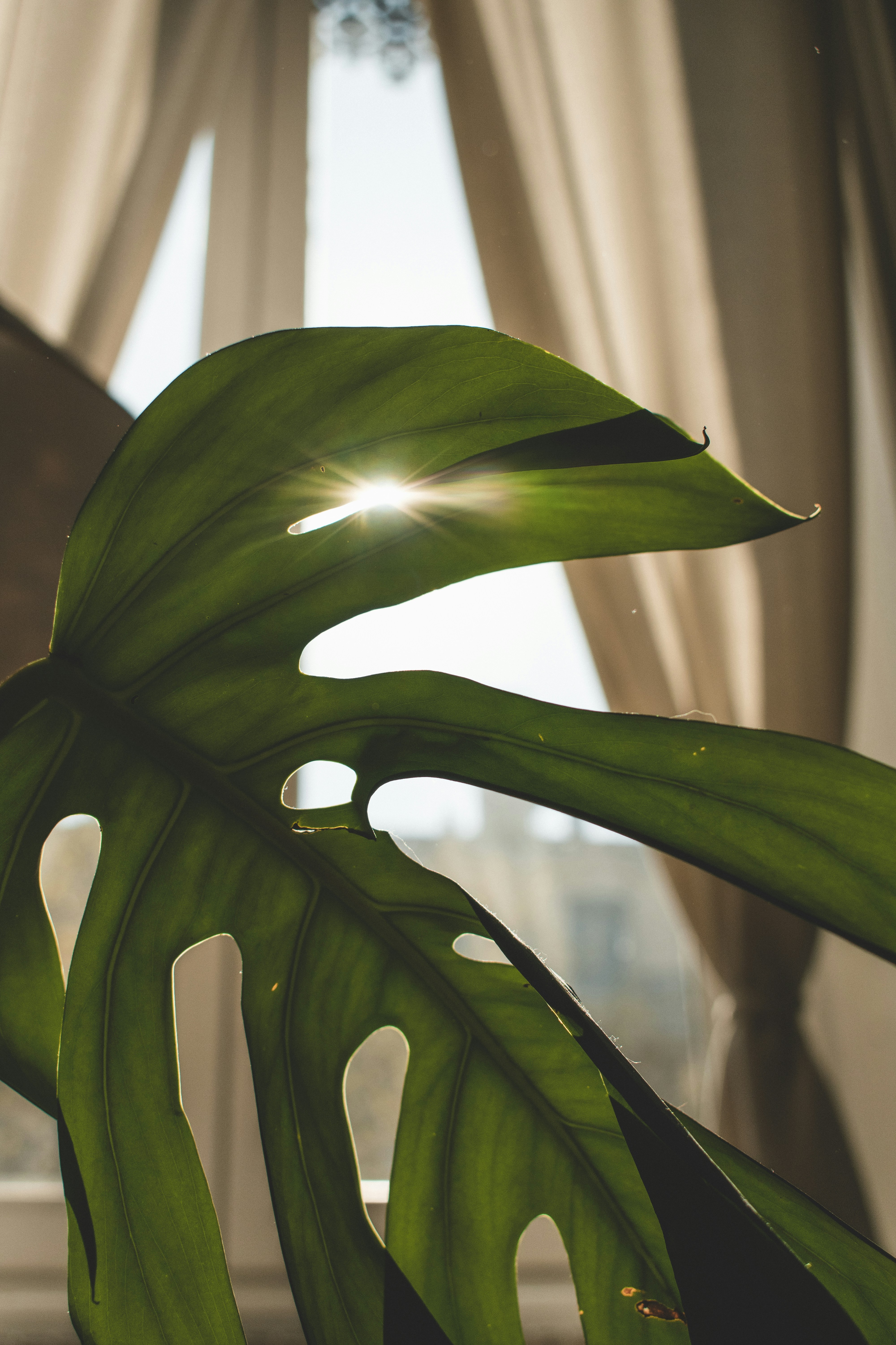 Photo by aurelienthms