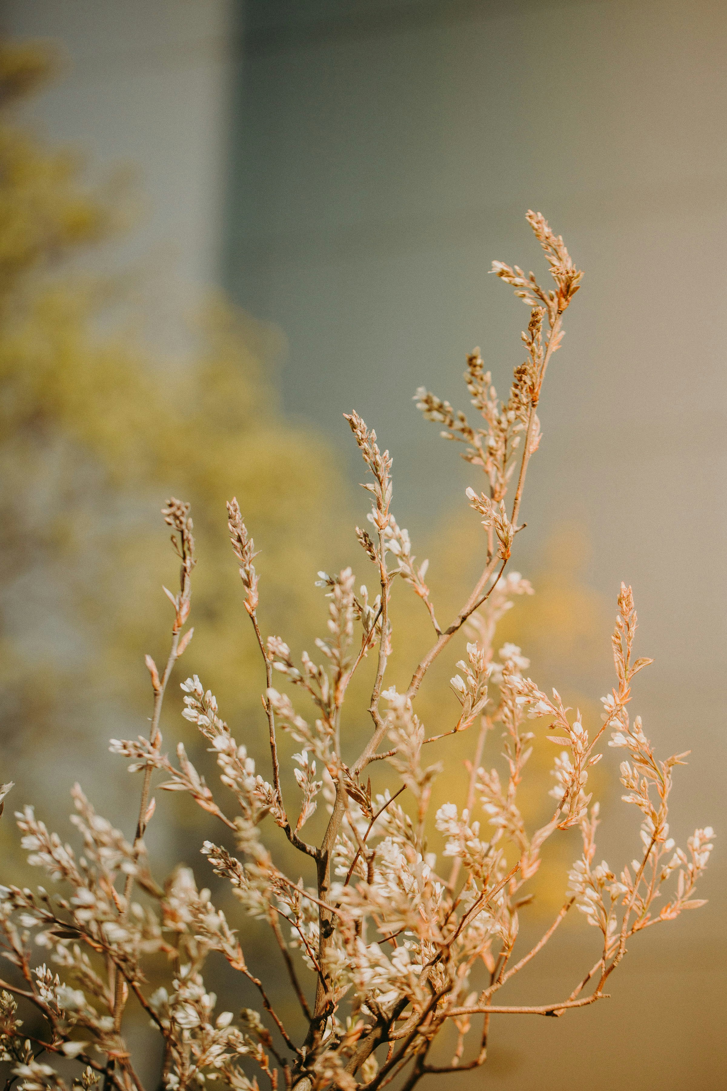 Photo by trnavskauni