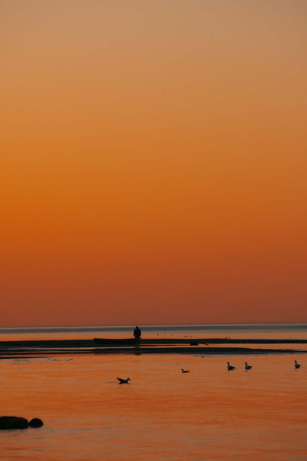 a group of birds flying over a body of water