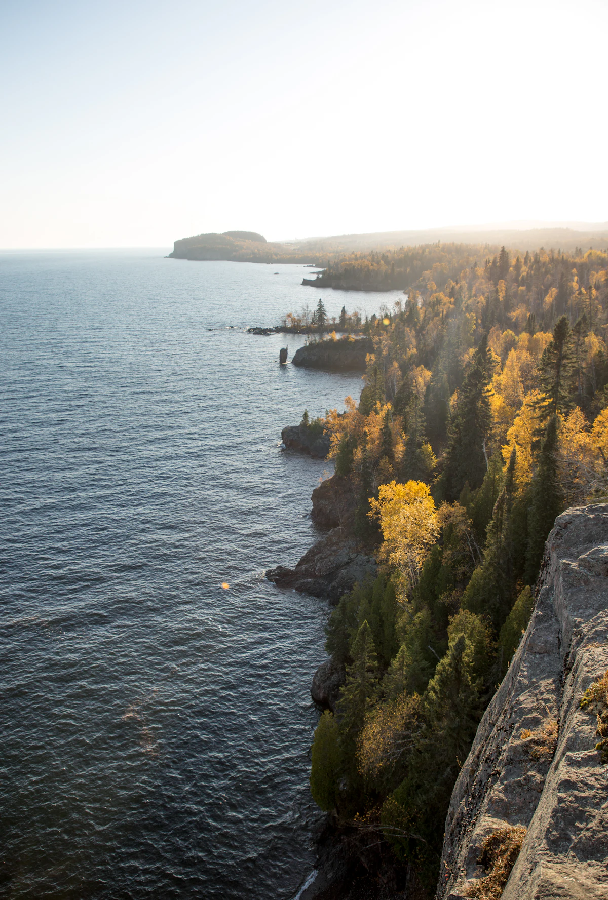 Trees in yellow fall leaf and dark spruce along the cliffs of Tettegouche State Park, with Lake Superior and a rocky headland beyond