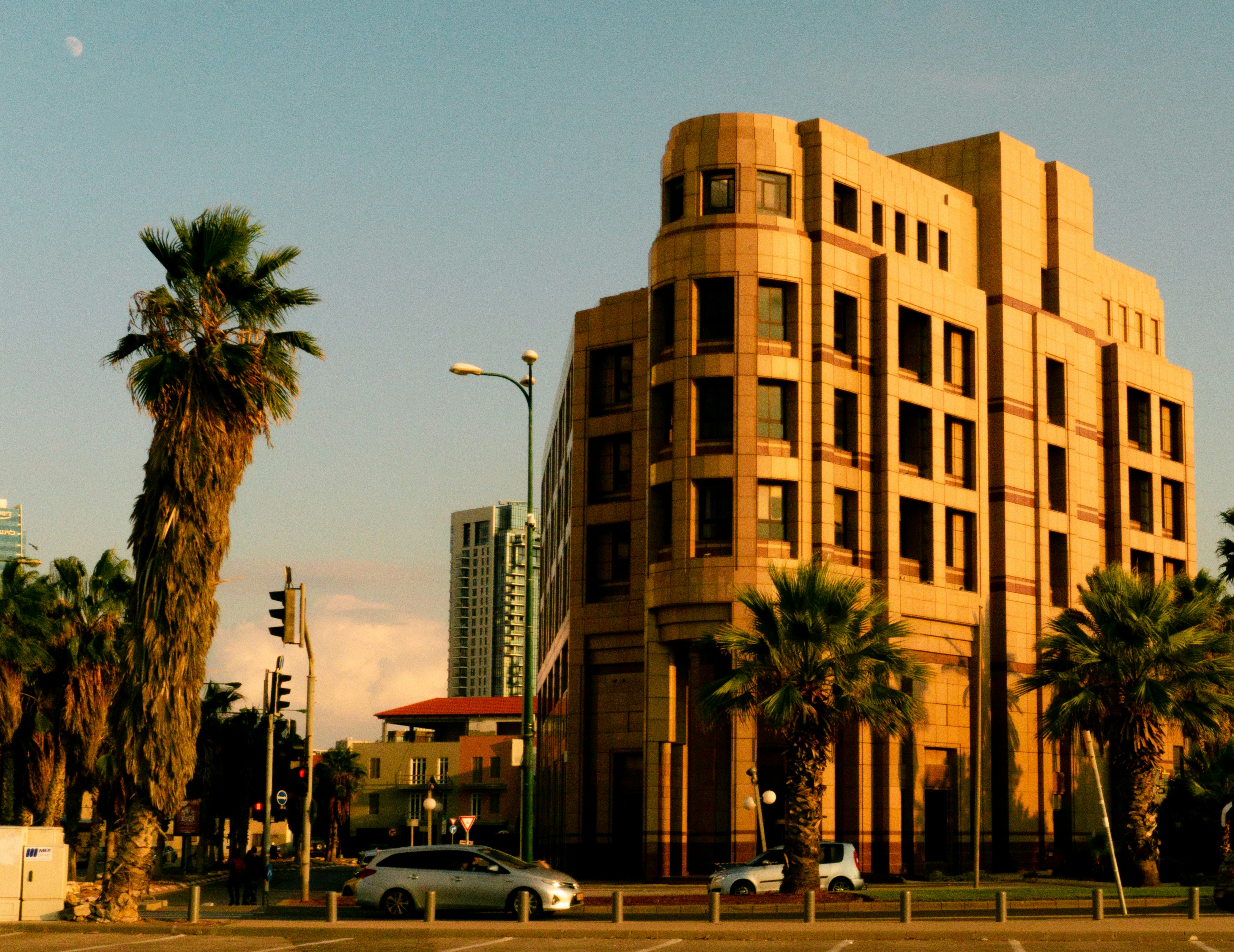 דקלים מול בניין