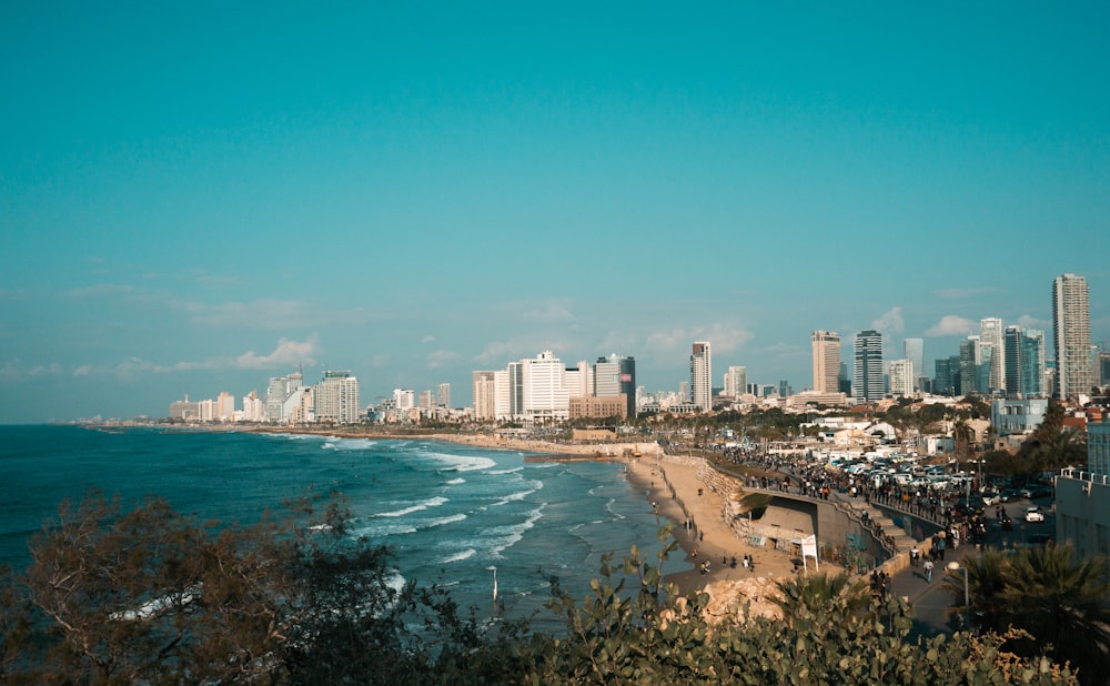 city skyline near body of water during daytime