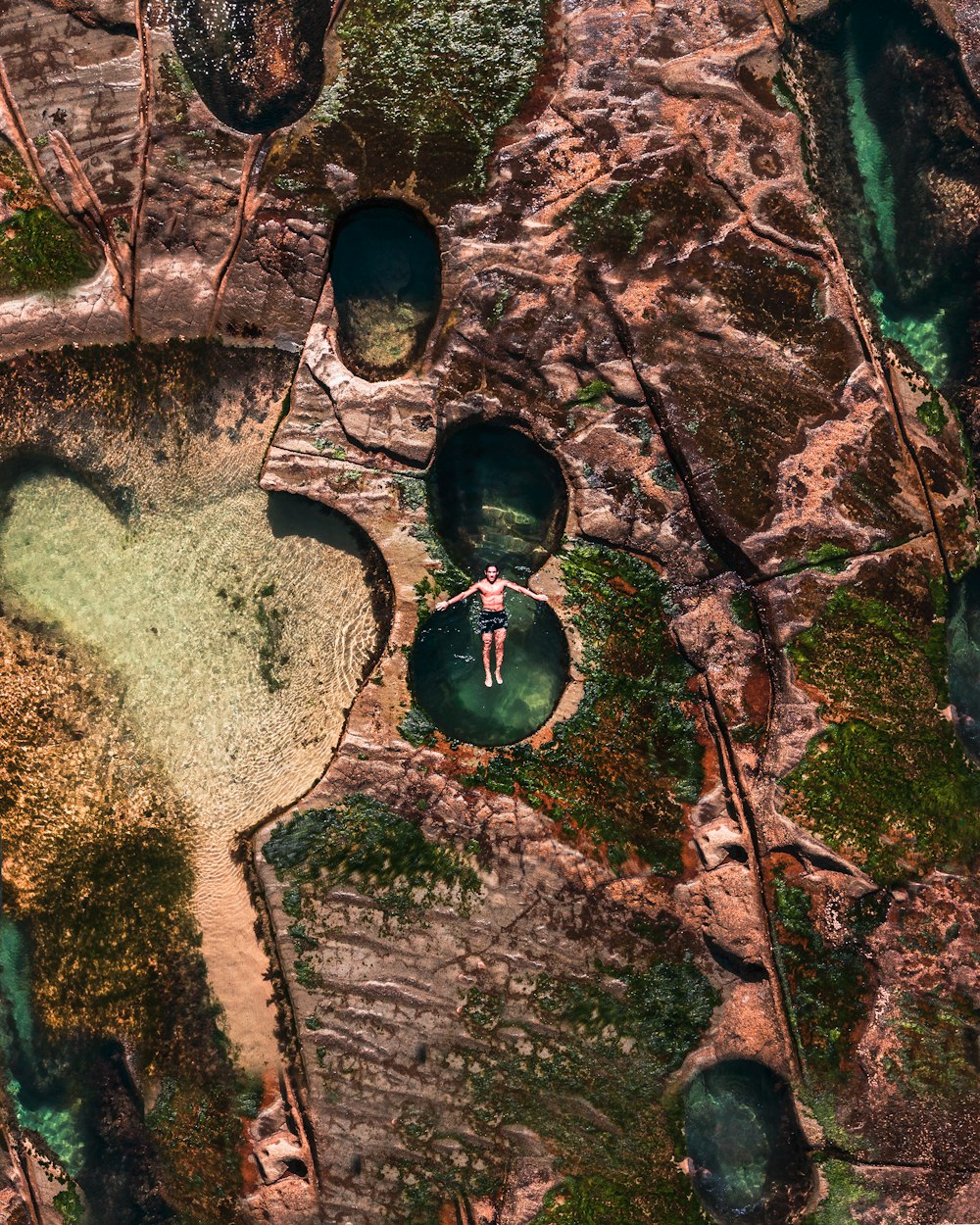 aerial view of green and brown land