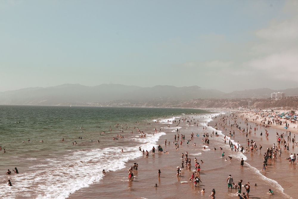 people on beach during daytime