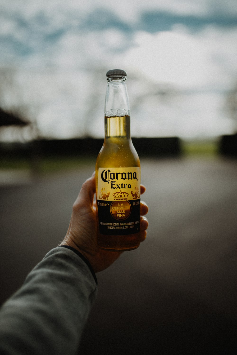 person holding corona extra beer bottle