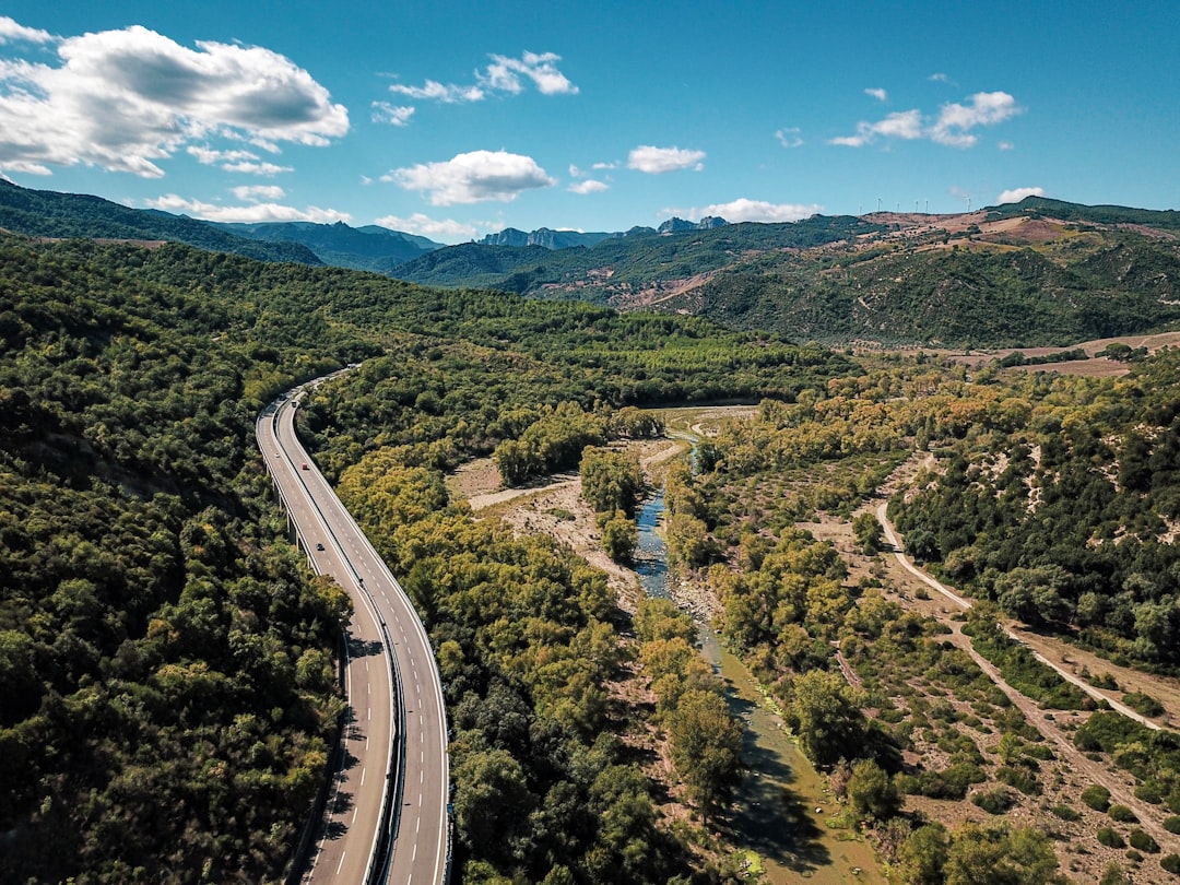 travelers stories about Hill station in Parco Naturale di Gallipoli Cognato - Piccole Dolo, Italy