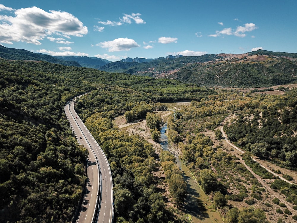 aerial view of green trees and road during daytime