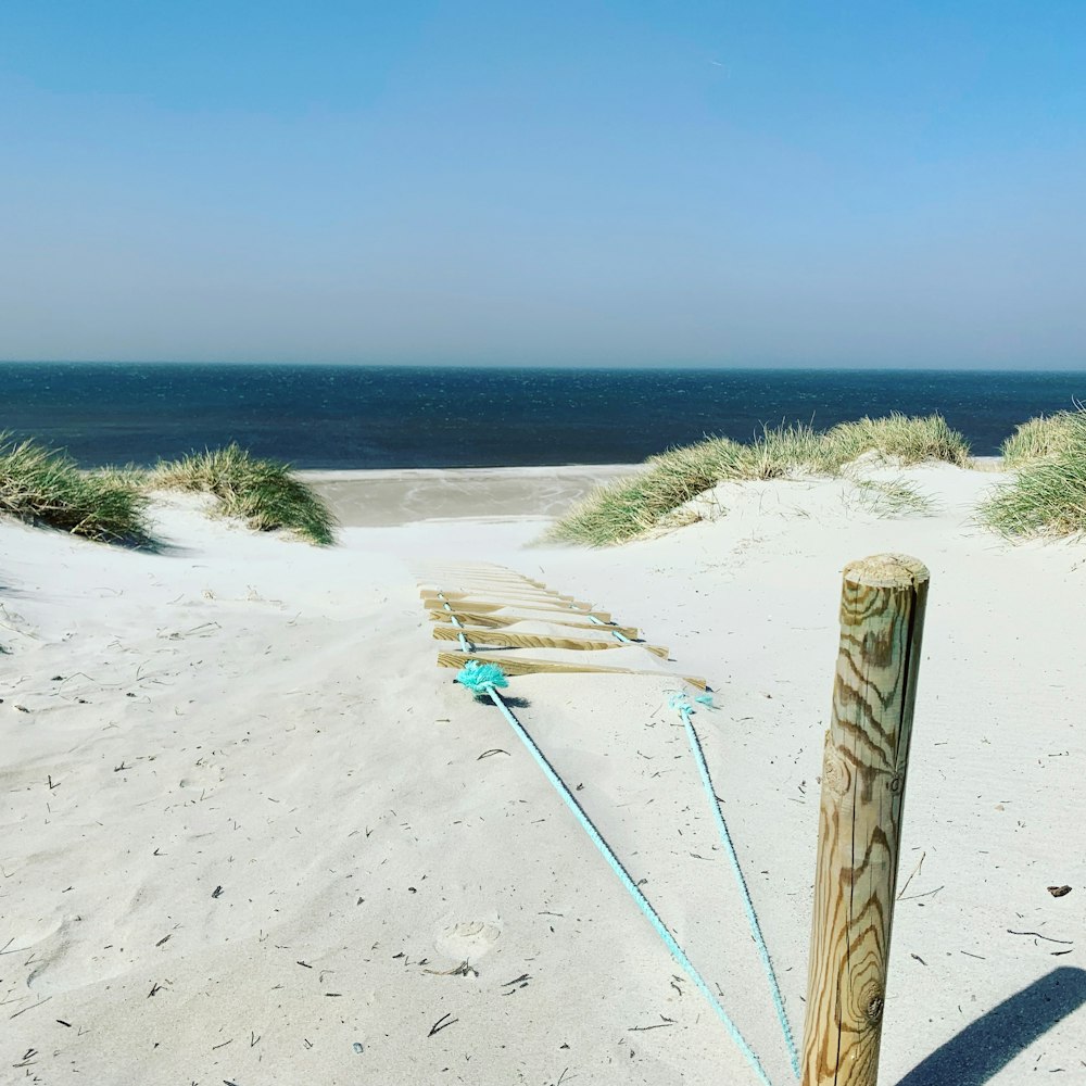 bâton en bois brun sur la plage de sable blanc pendant la journée