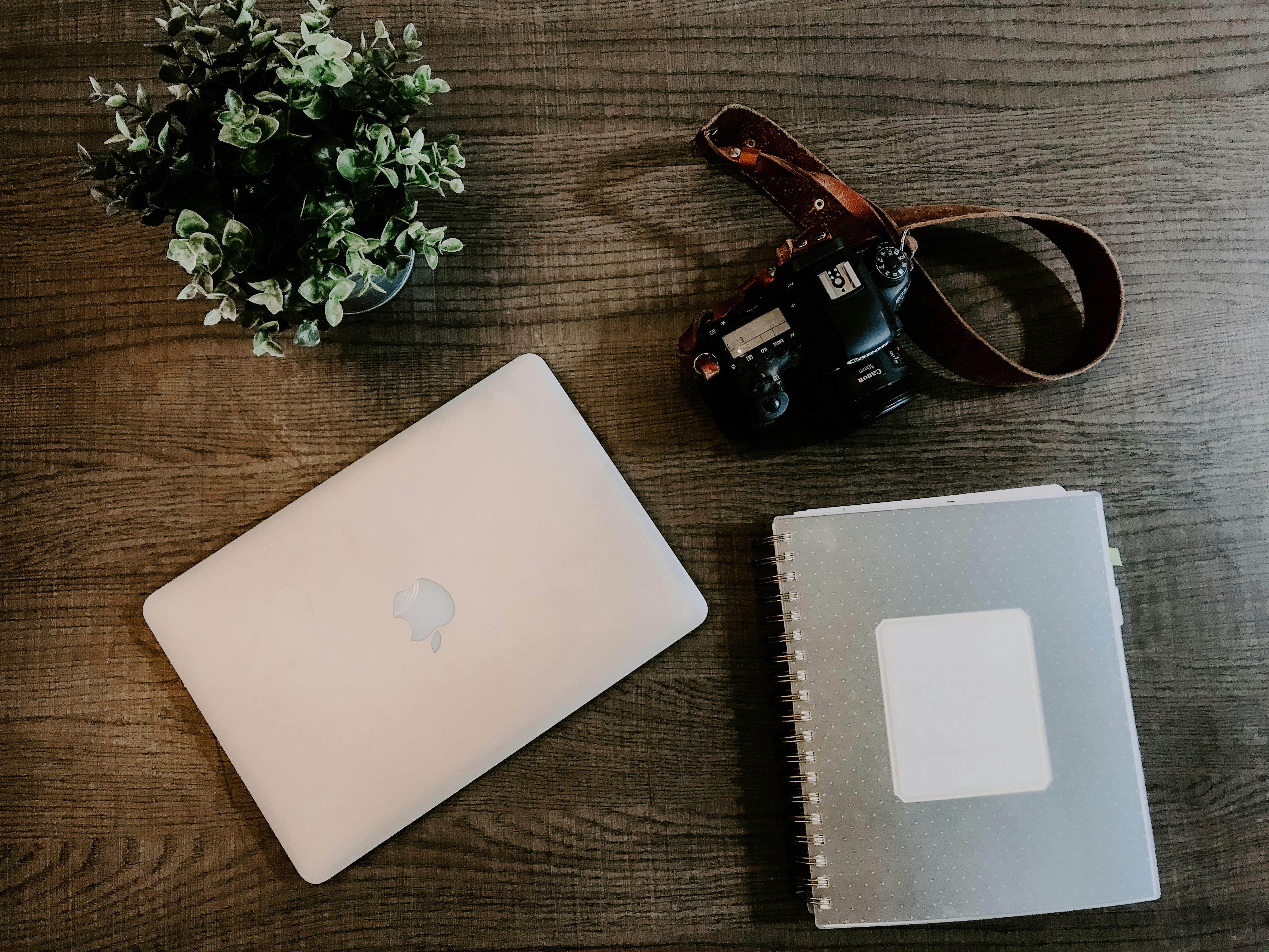 Photo by rachelcoyne