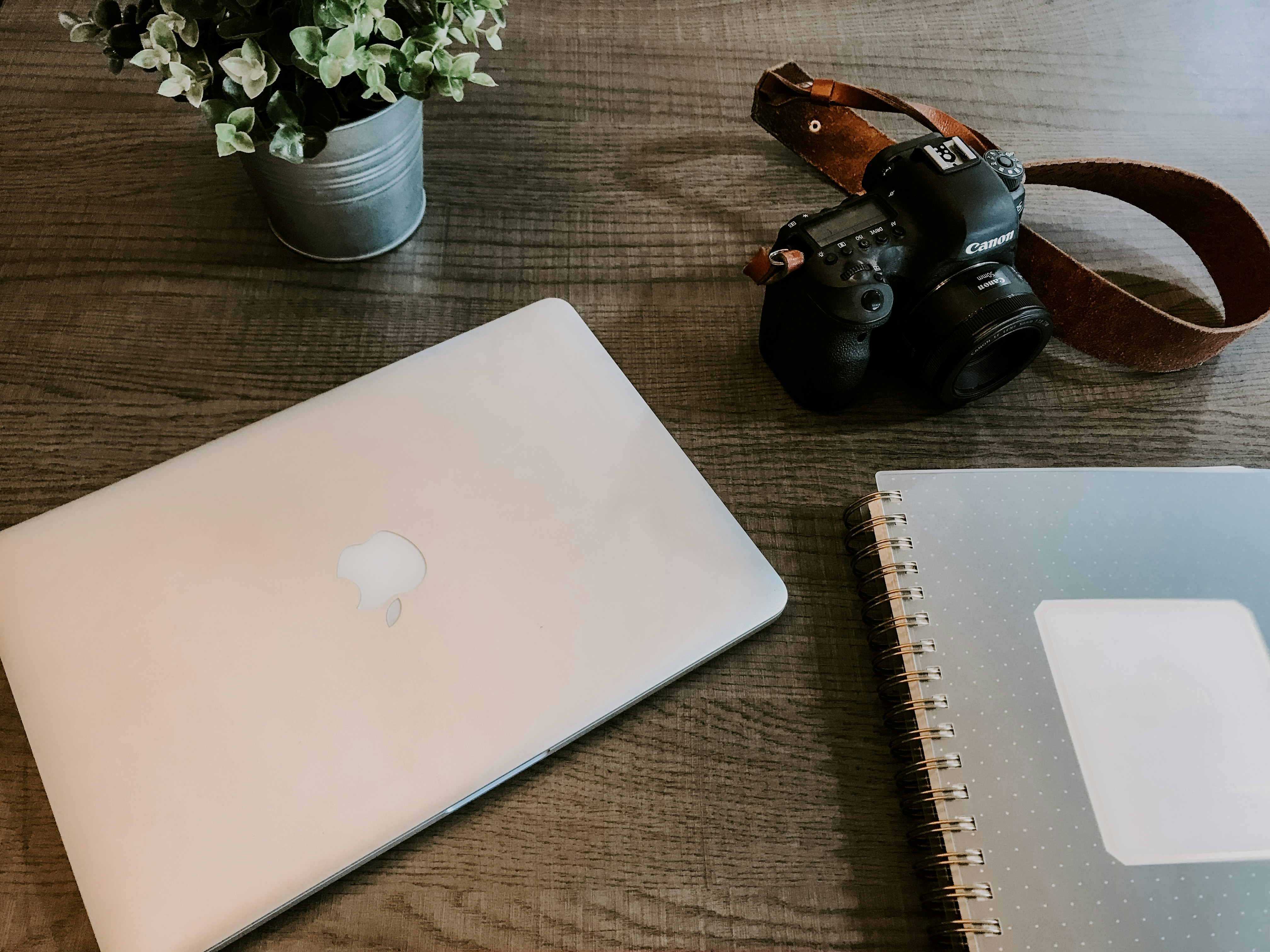 Photo by rachelcoyne