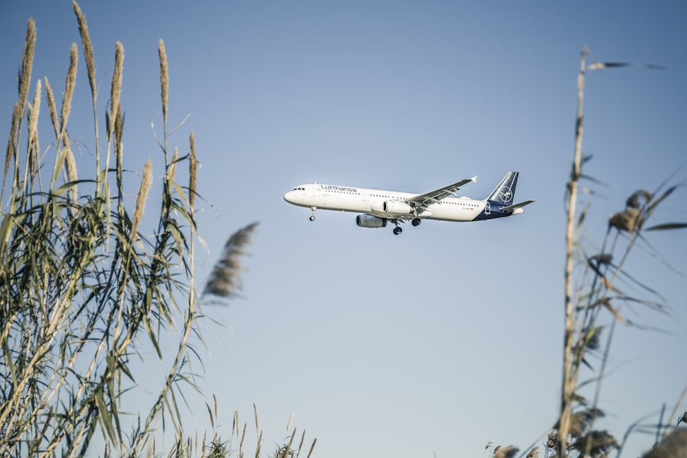 white and blue airplane flying during daytime