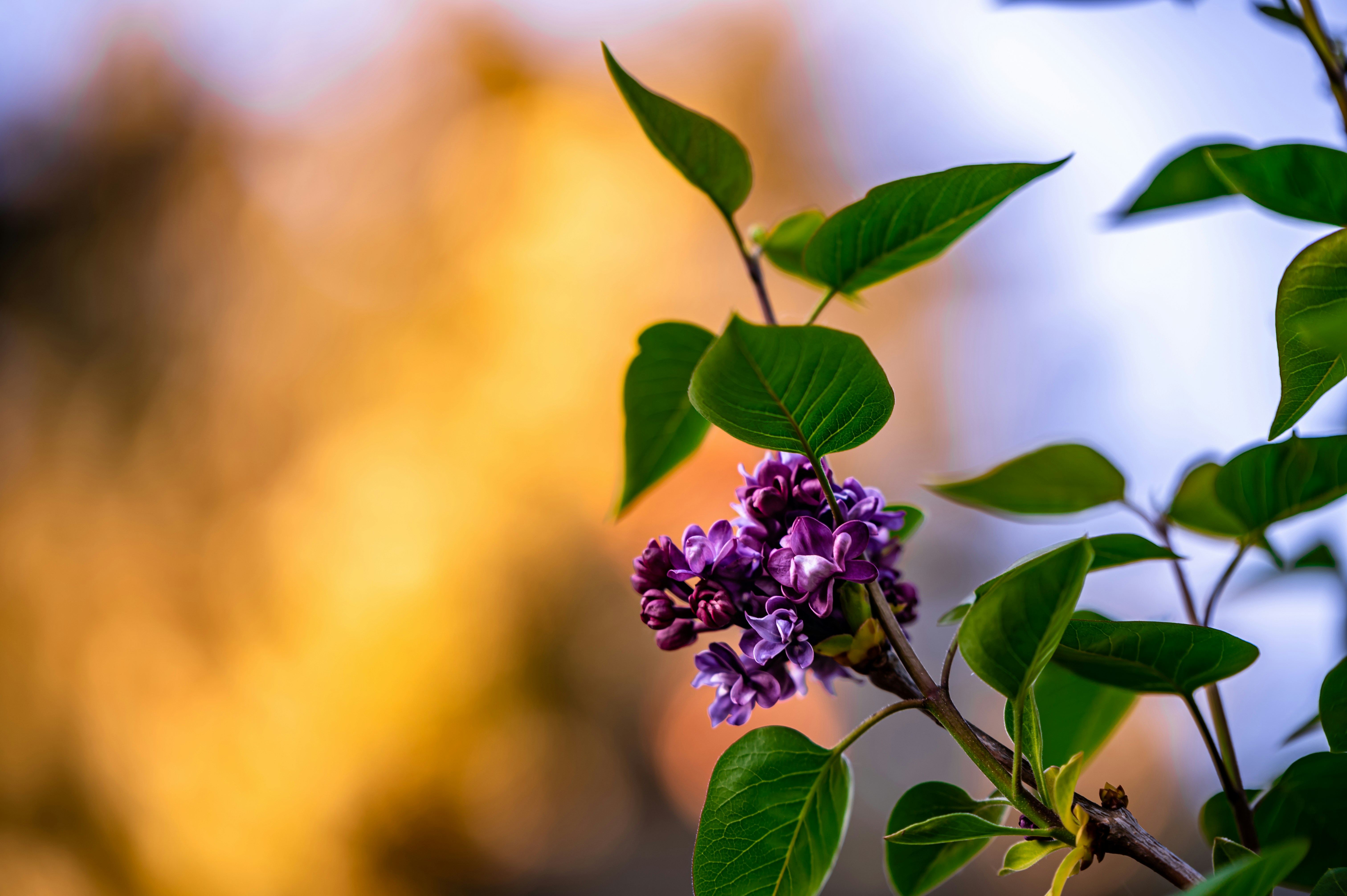 Photo by andreasbrun