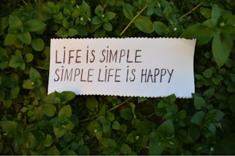 Hayata Pozitif Bak: Şikayet Etmeyi Bırak