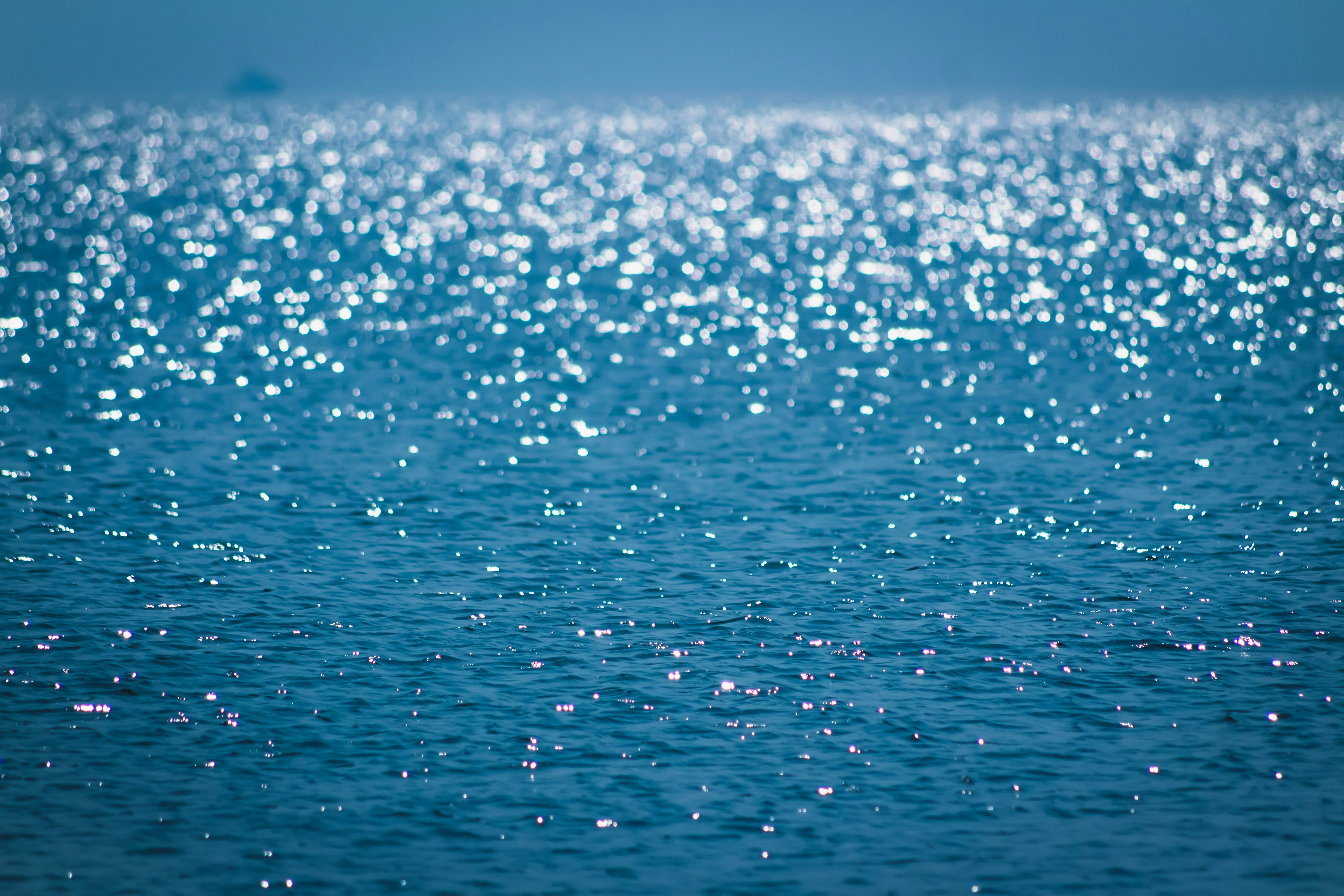 Photo by lazyartistgallery