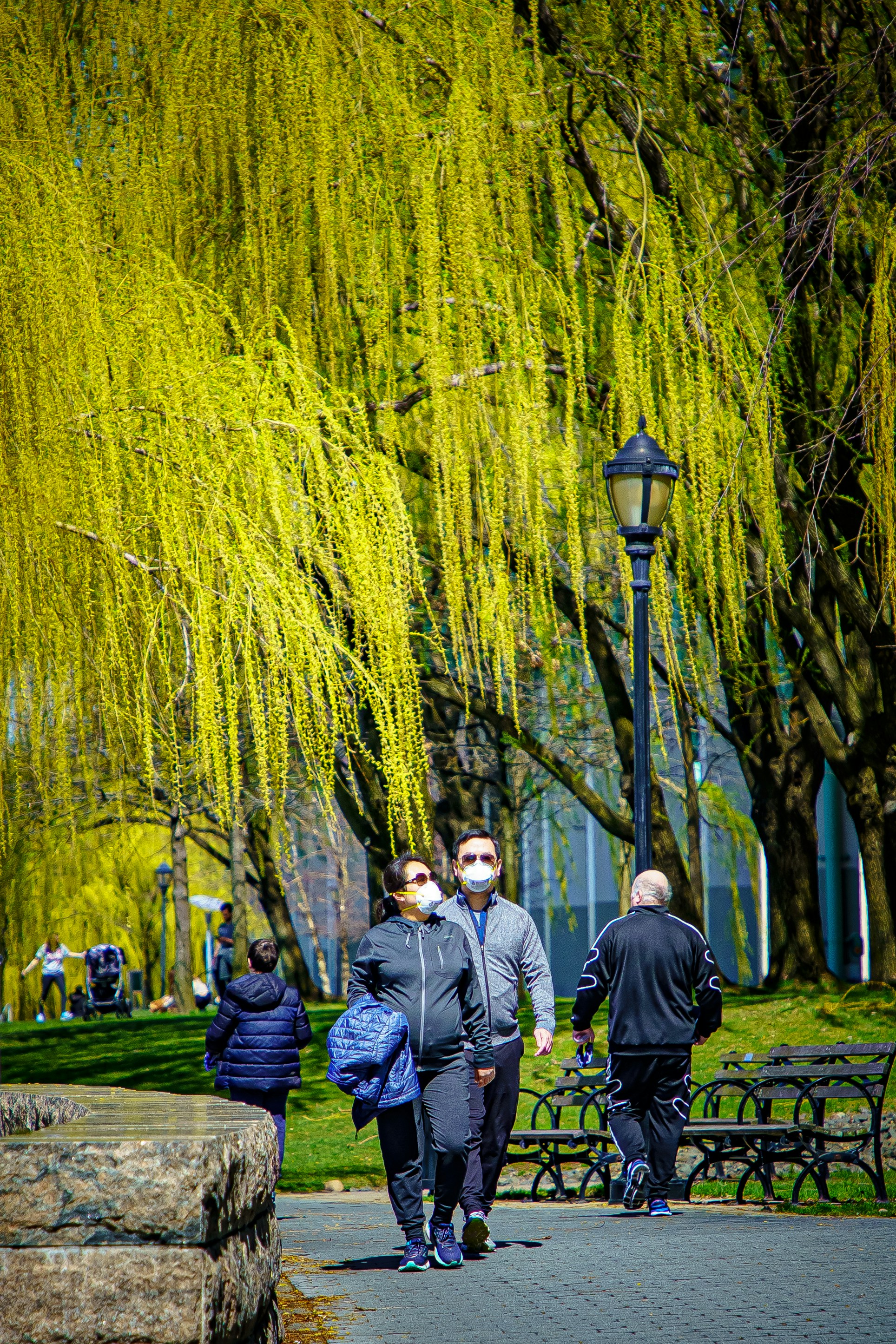 people walking on green grass field during daytime