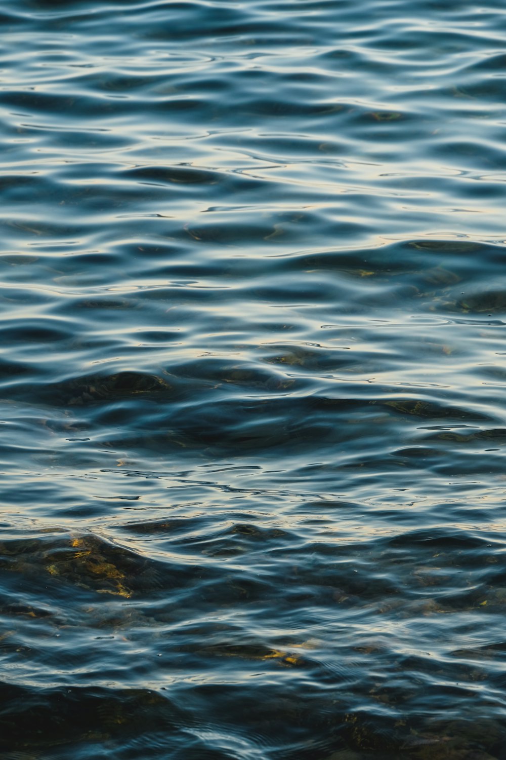 blue body of water during daytime